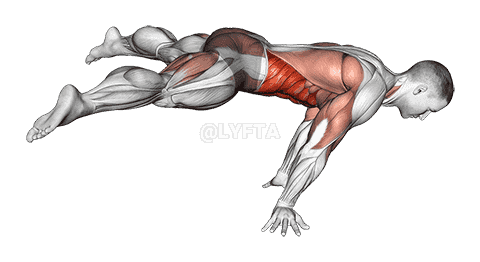 Straddle planche demonstration