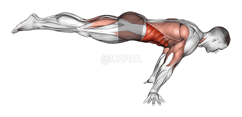 Full planche demonstration
