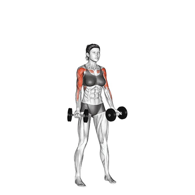 Dumbbell Curl to Press demonstration