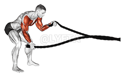 Battling Ropes Low Waves demonstration