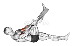 Lying Biceps Curl with Towel demonstration