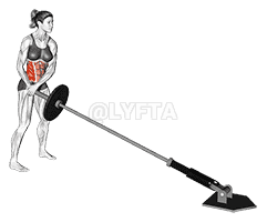 undefined demonstration