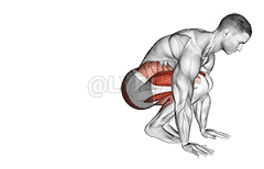 Squat Thrust demonstration