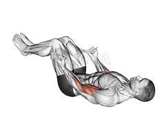 undefined demonstration