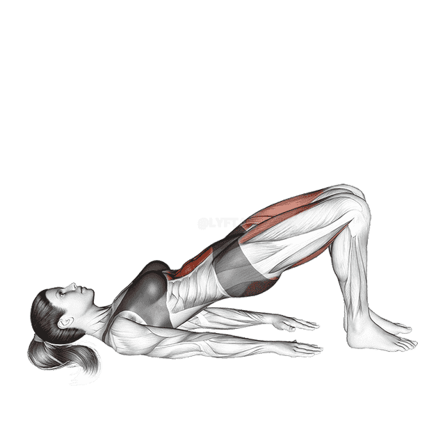 Glute Bridge March demonstration