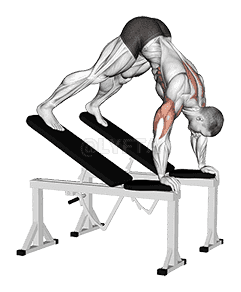 Decline Pike Press demonstration