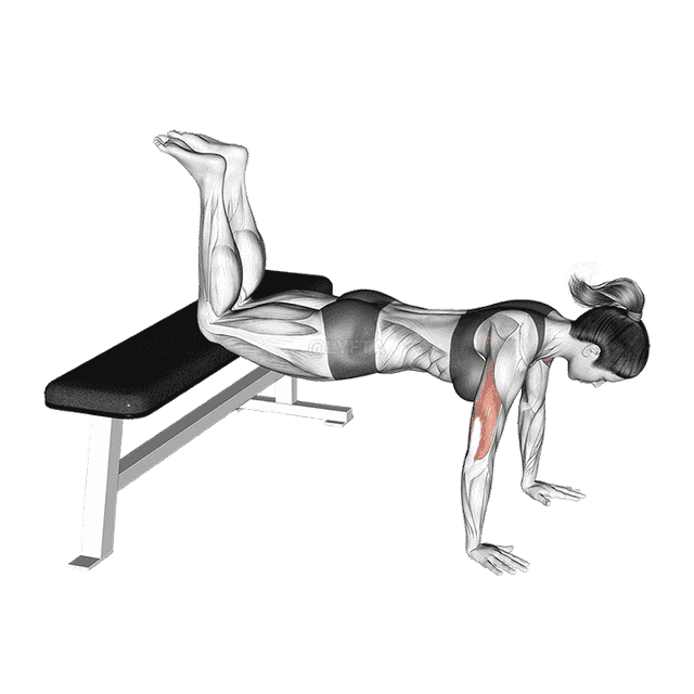 Decline Push-up demonstration