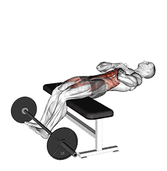 Romanian Chair Sit-Up demonstration