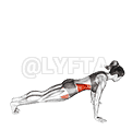 Front to Side Plank demonstration