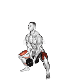 Dumbbell Bar Grip Sumo Squat demonstration