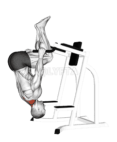 Inverted Shrug demonstration