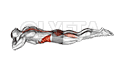 undefined demonstration