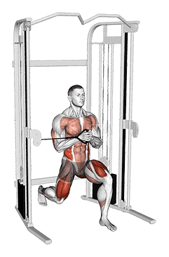 Cable Split Stance Horizontal Pallof Press demonstration