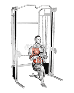 Cable Half Kneeling Pallof Press demonstration