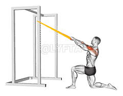 undefined demonstration