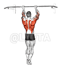 Chin-Up Around the Bar demonstration