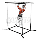 Climbing Monkey Bars demonstration