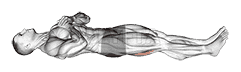 Straight Leg Hip Bridge demonstration