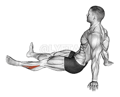 Feet and Ankles Rotation Stretch demonstration