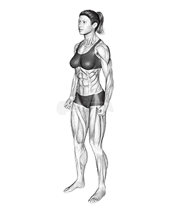 Rear Deltoid Stretch demonstration