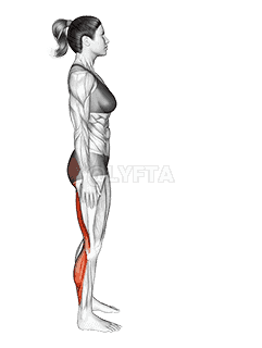 Runners Stretch demonstration