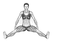 Seated Wide Angle Pose Sequence demonstration