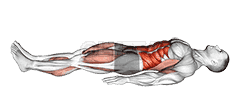 Single Leg Stretch demonstration
