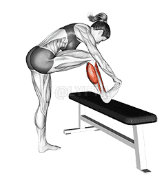 Standing Gastrocnemius Calf Stretch demonstration