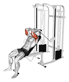 Cable Incline Skull Crusher demonstration