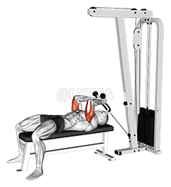 Cable Lying Triceps Extension demonstration