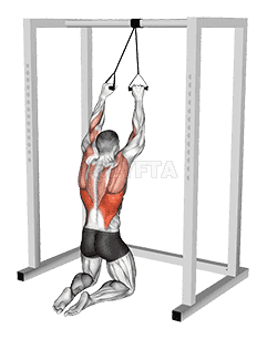 Band Kneeling Lat Pulldown demonstration
