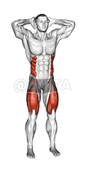 Standing Side Crunch demonstration