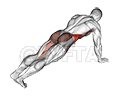 Leg Extension Plank demonstration