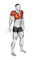 Shoulder Circle demonstration