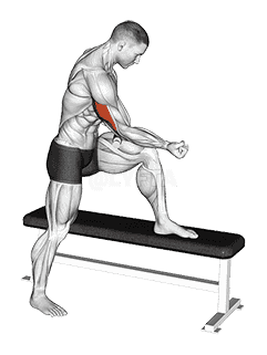 Tiger Tail Triceps demonstration