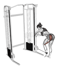 undefined demonstration