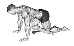 Roll Ball Tibialis Anterior demonstration