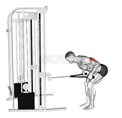 undefined demonstration