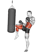 Front Snap Kick Kickboxing demonstration
