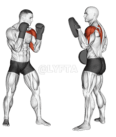 Boxing Jab demonstration