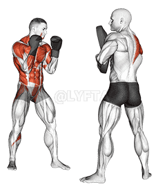 Boxing Right Cross demonstration