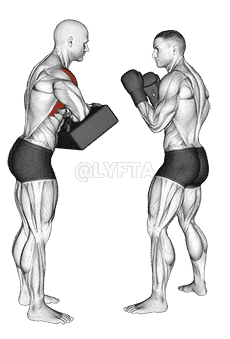 Front Knee Kick Kickboxing demonstration