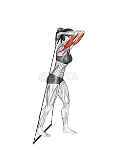 undefined demonstration