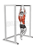 Commando Pull-up demonstration