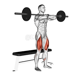 Bench Front Squat demonstration