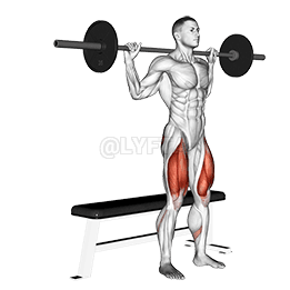 Barbell Bench Squat demonstration