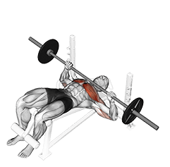 Barbell Decline Bench Press demonstration