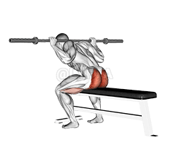 Barbell Seated Good morning demonstration