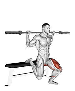 Barbell Single Leg Split Squat demonstration