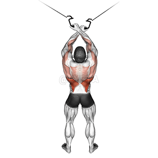 Cross-over Lateral Pulldown demonstration
